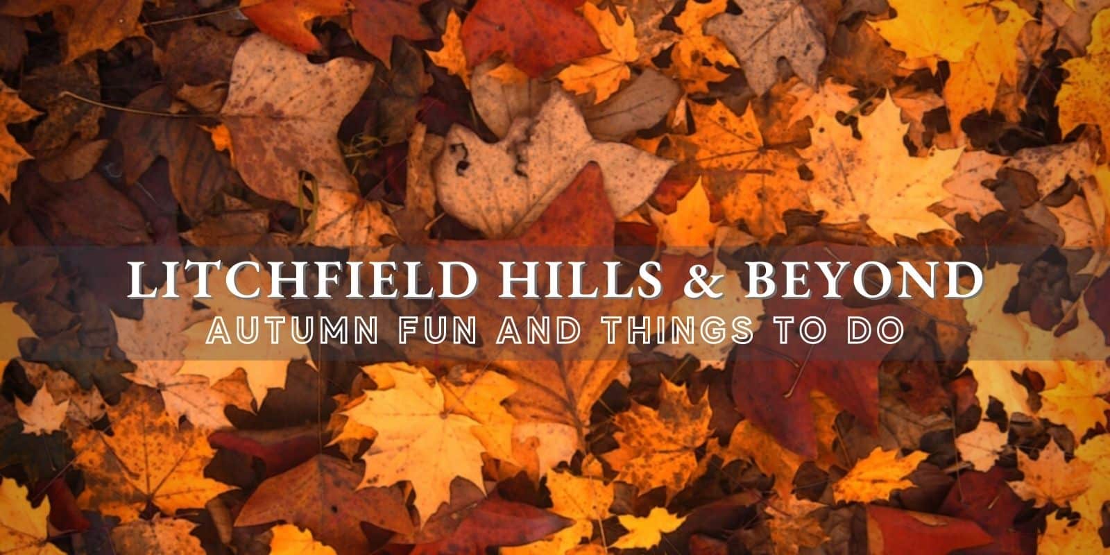 Litchfield Hills and Beyond: Autumn Fun and Things to Do